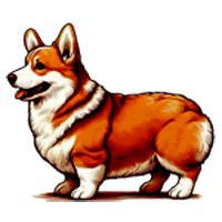 Country Corgi