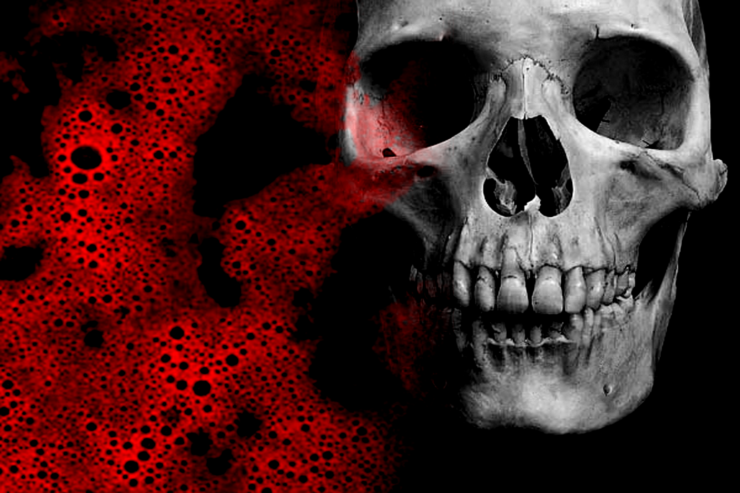 Gothica
