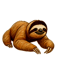 Sloth