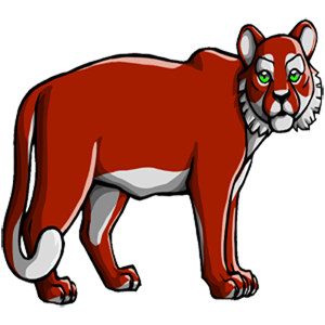 Pet